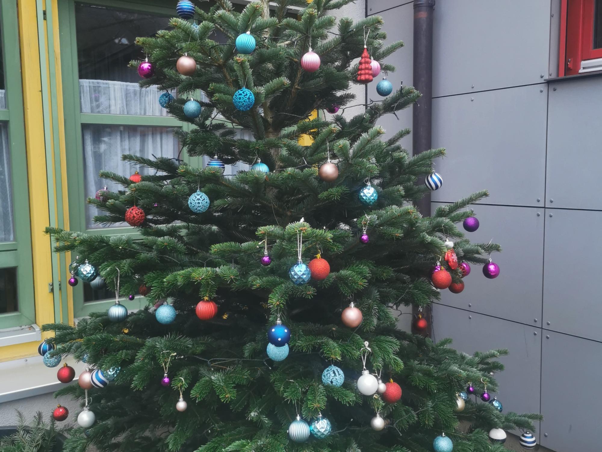 Tannenbaum Dezember 2023