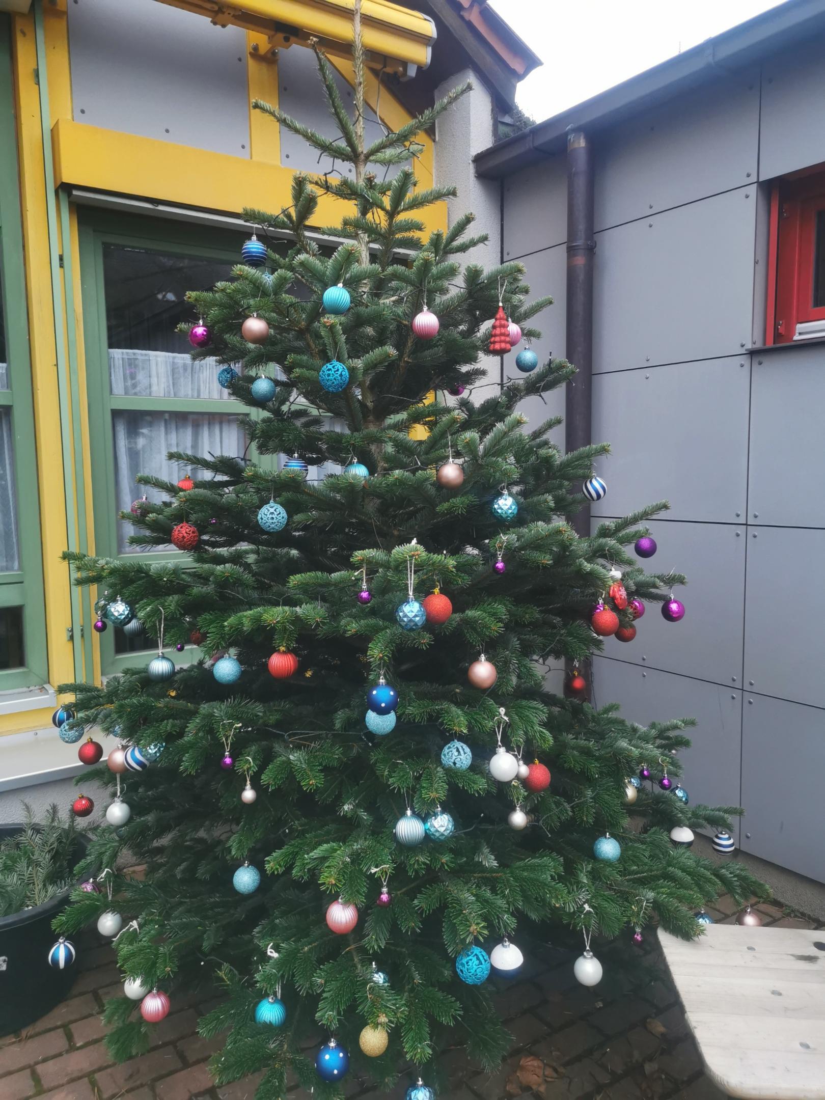 Tannenbaum Dezember 2023 (c) Tannenbaum Dezember 2023, Kath. Kita Veitsbronn
