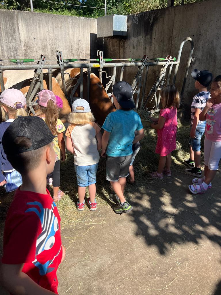 WhatsApp Image 2023-06-19 at 08.18.27 (6) (c) Bauernhof, Juni 2023, Kita Heilig Geist, Veitsbronn